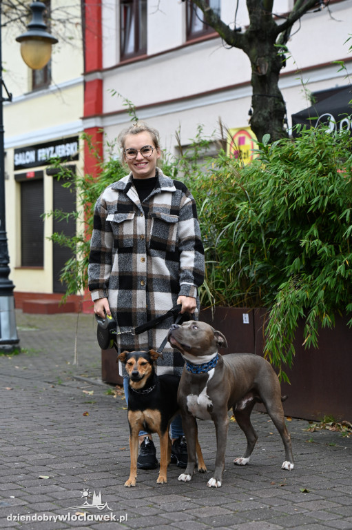 Przemarsz adopciaków z włocławskiego schroniska