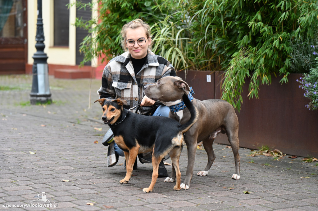 Przemarsz adopciaków z włocławskiego schroniska