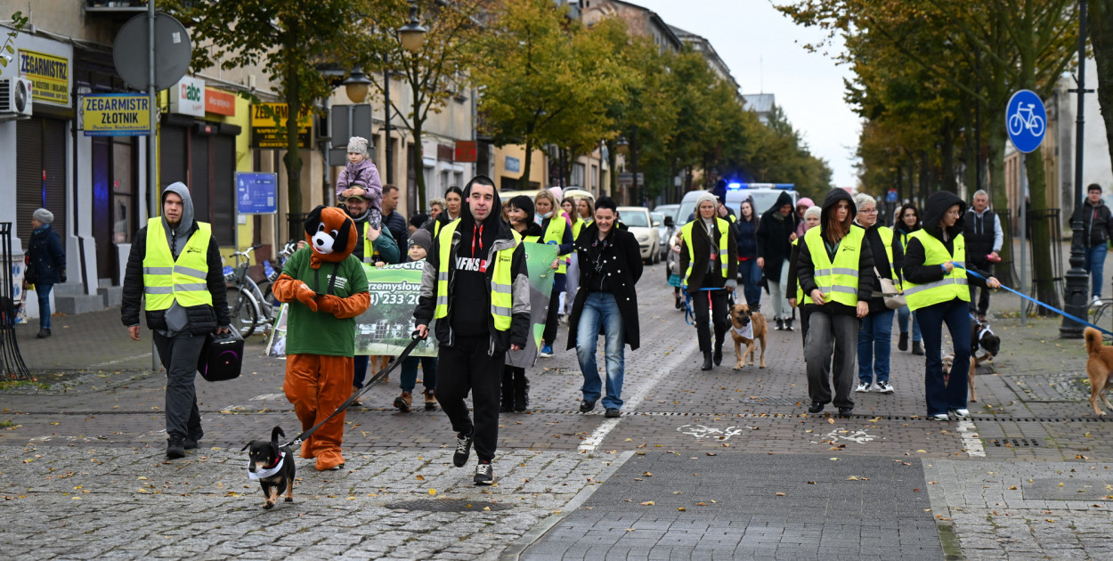 Przemarsz adopciaków z włocławskiego schroniska