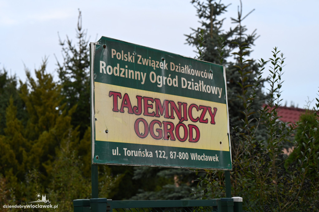 Interwencja Polsatu we Włocławku