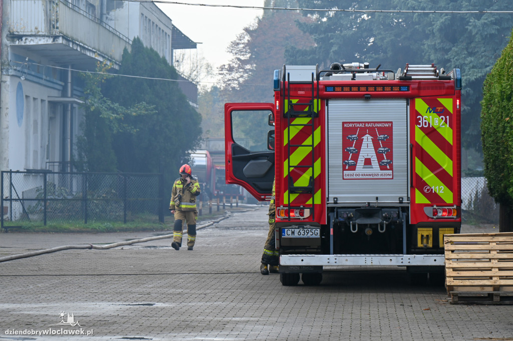 Z hali przy ul. Toruńskiej zostały zgliszcza