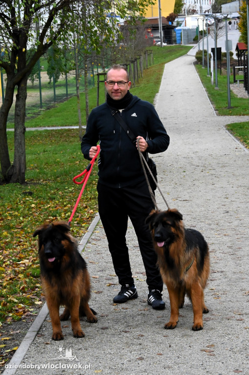 Halloweenowy parkrun na Słodowie