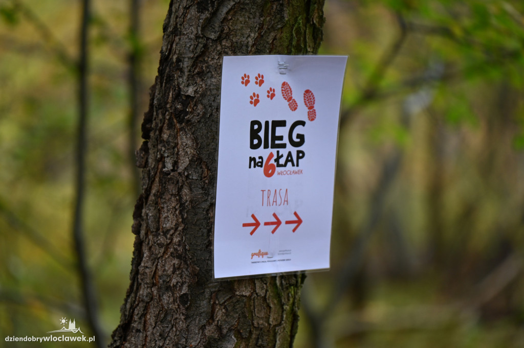 Bieg na 6 łap we Włocławku