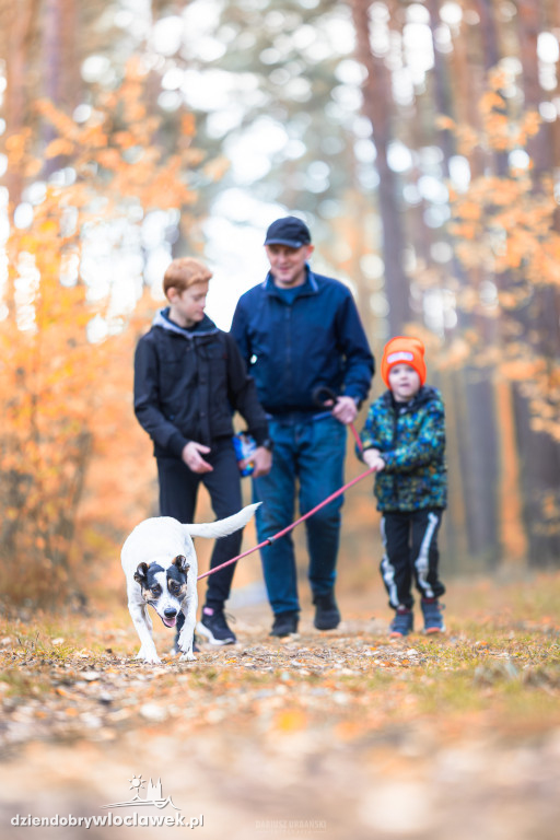 Bieg na 6 łap we Włocławku