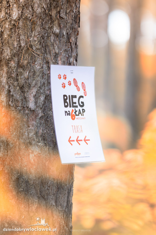 Bieg na 6 łap we Włocławku