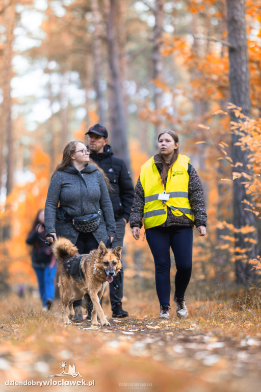 Bieg na 6 łap we Włocławku