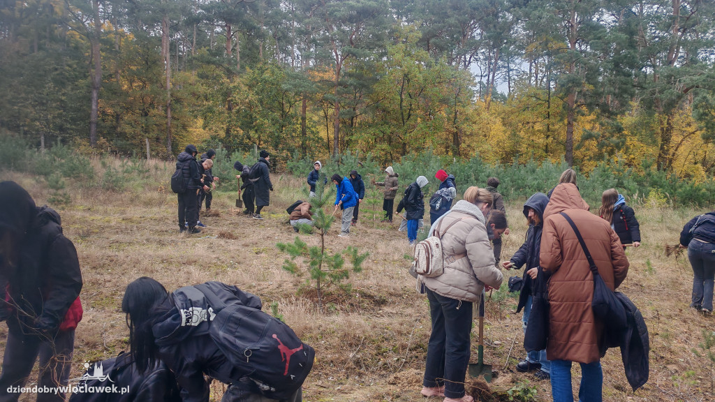 105 drzew na 105-lecie ZST we Włocławku