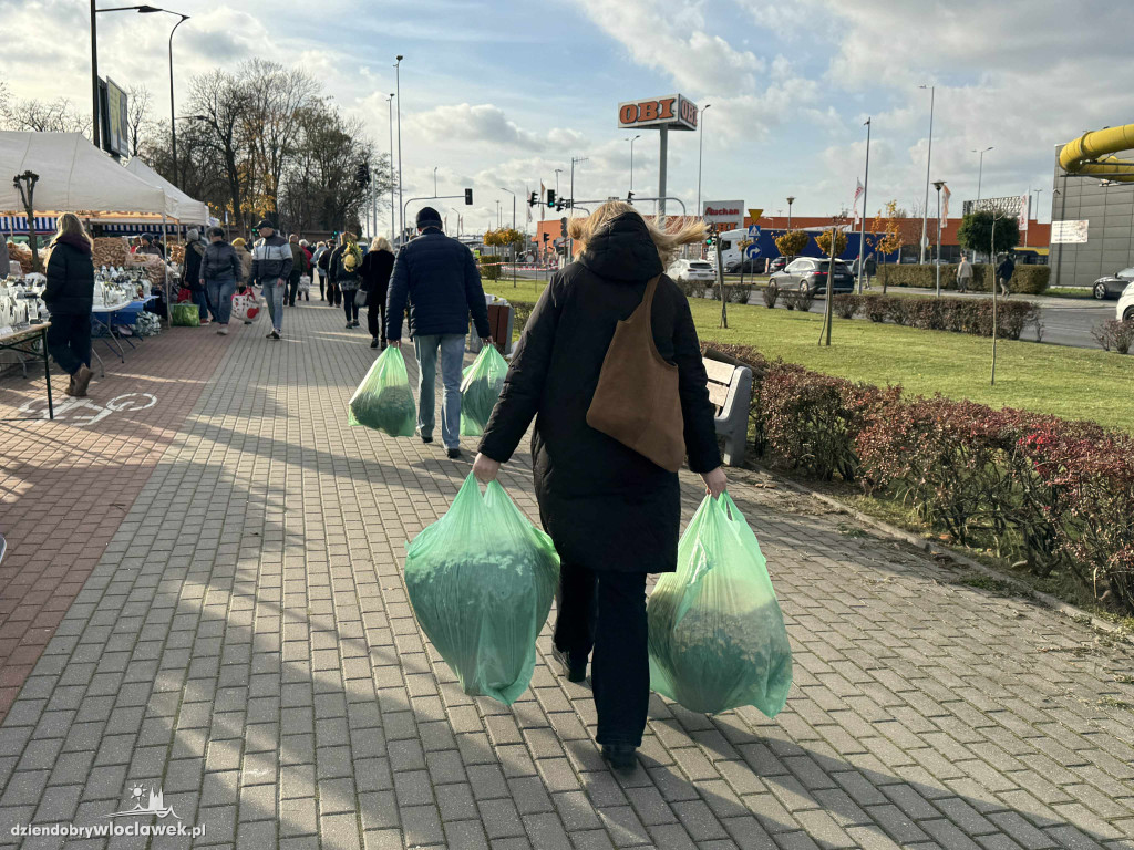 31 października ruch na cmentarzu jak 1 listopada
