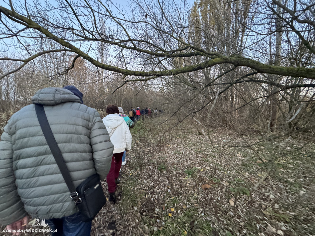 Spacer badawczy nad Wisłą