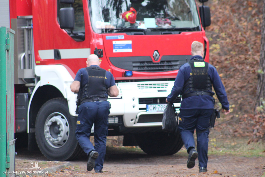 Plama na jeziorze Czarne. Trwa akcja straży