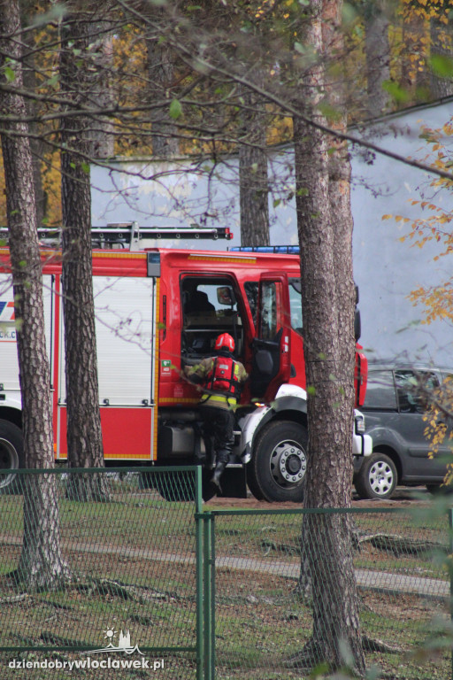 Plama na jeziorze Czarne. Trwa akcja straży