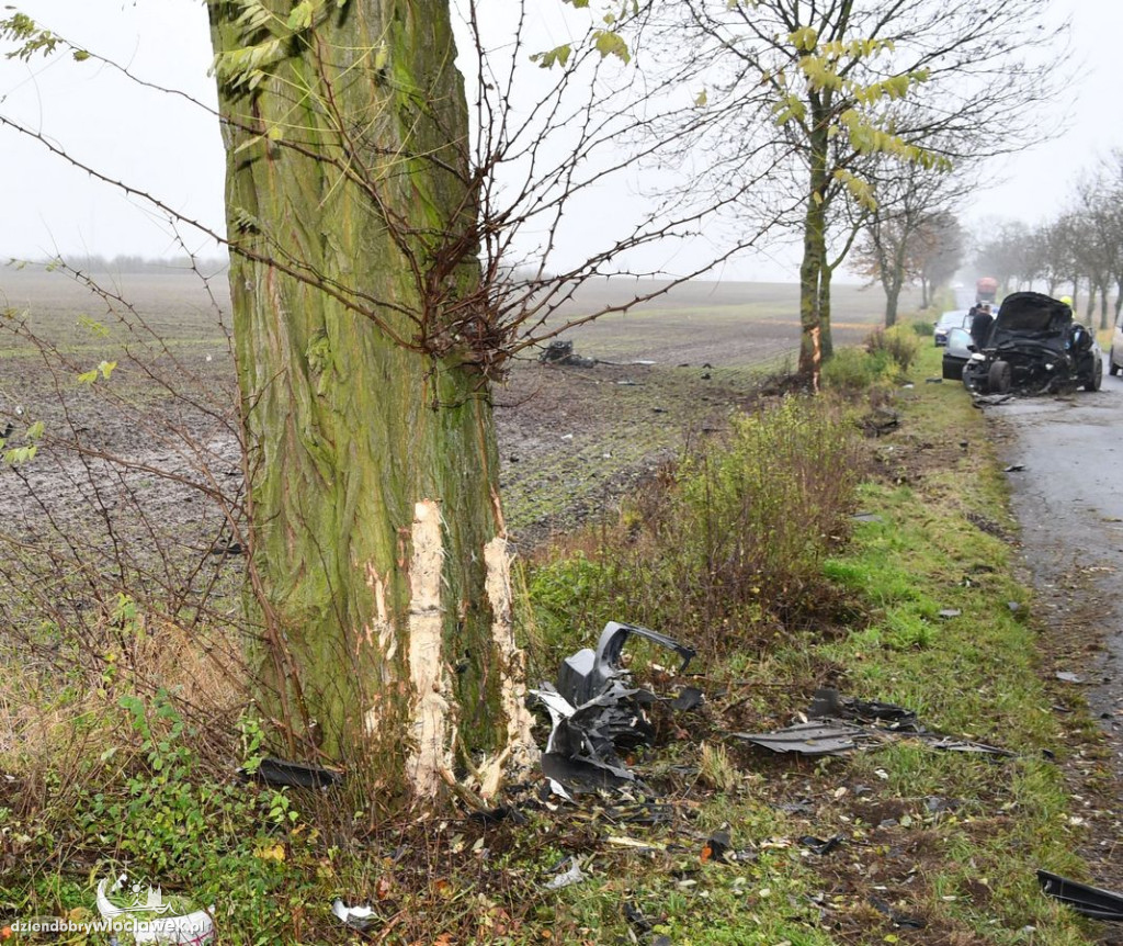 BMW roztrzaskane o drzewa w Broniewie