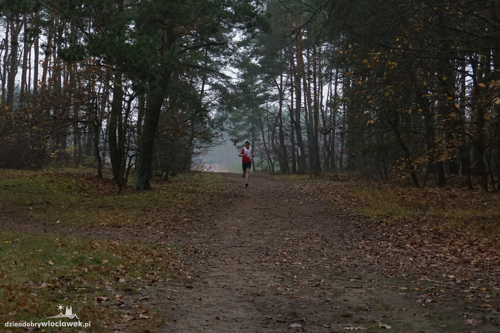 Bieg z okazji Święta Niepodległości – VLADISLAVIA CROSS 2025