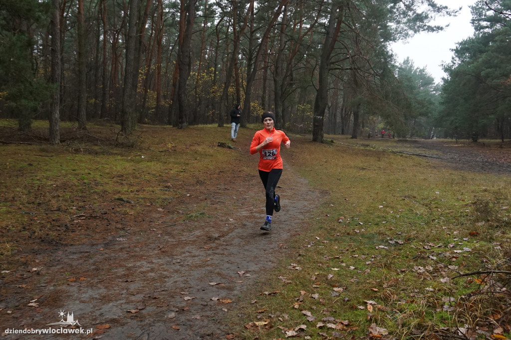 Bieg z okazji Święta Niepodległości – VLADISLAVIA CROSS 2025