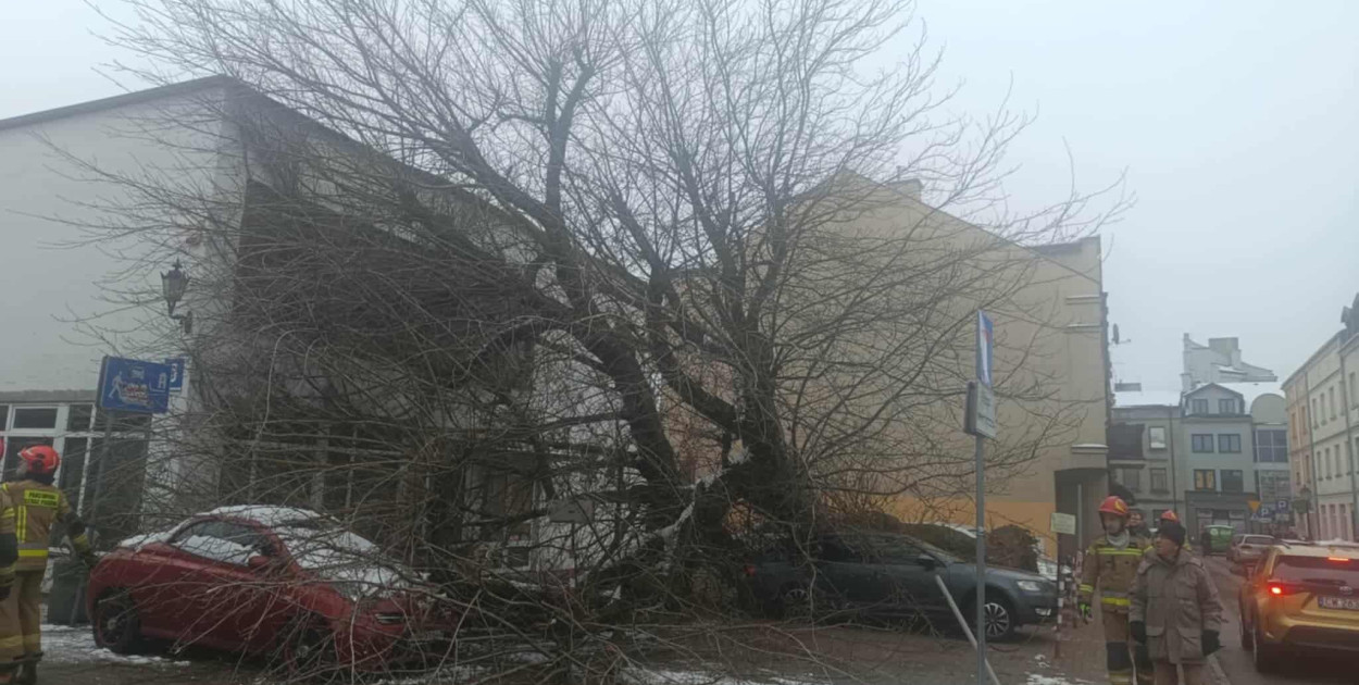 Drzewo runęło na samochody i budynek w centrum