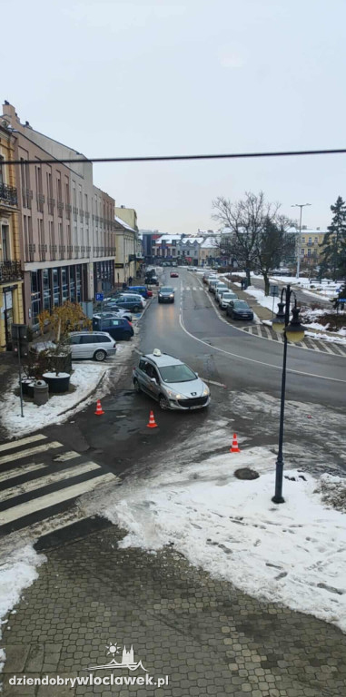 Drzewo runęło na samochody i budynek w centrum