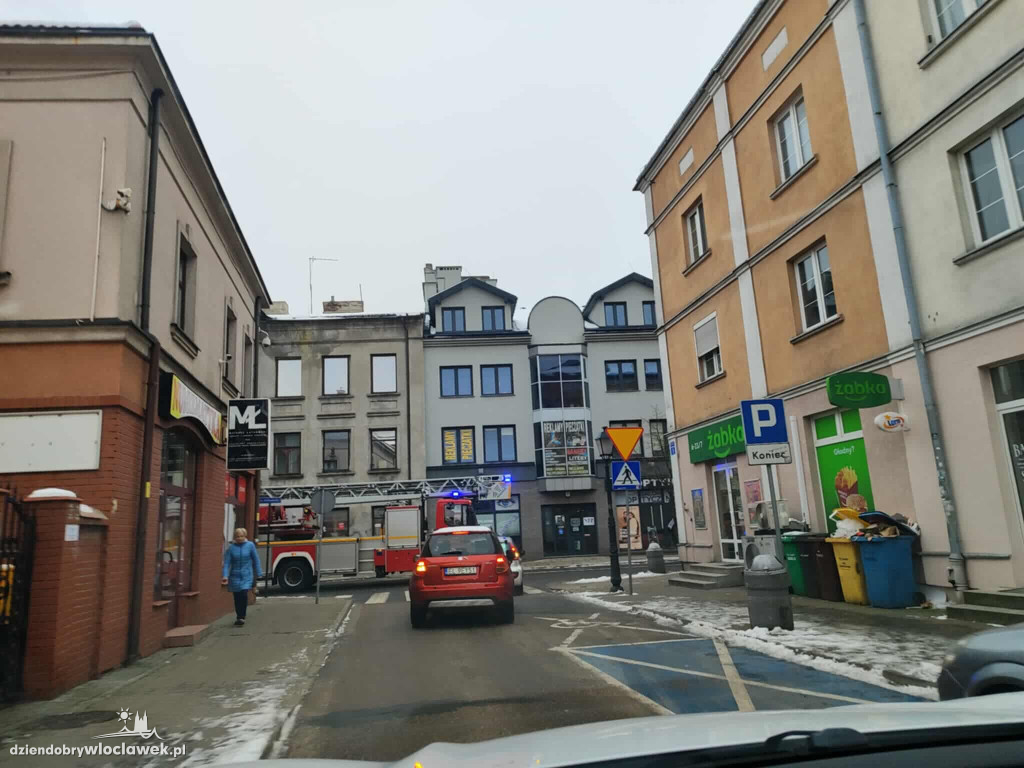 Drzewo runęło na samochody i budynek w centrum