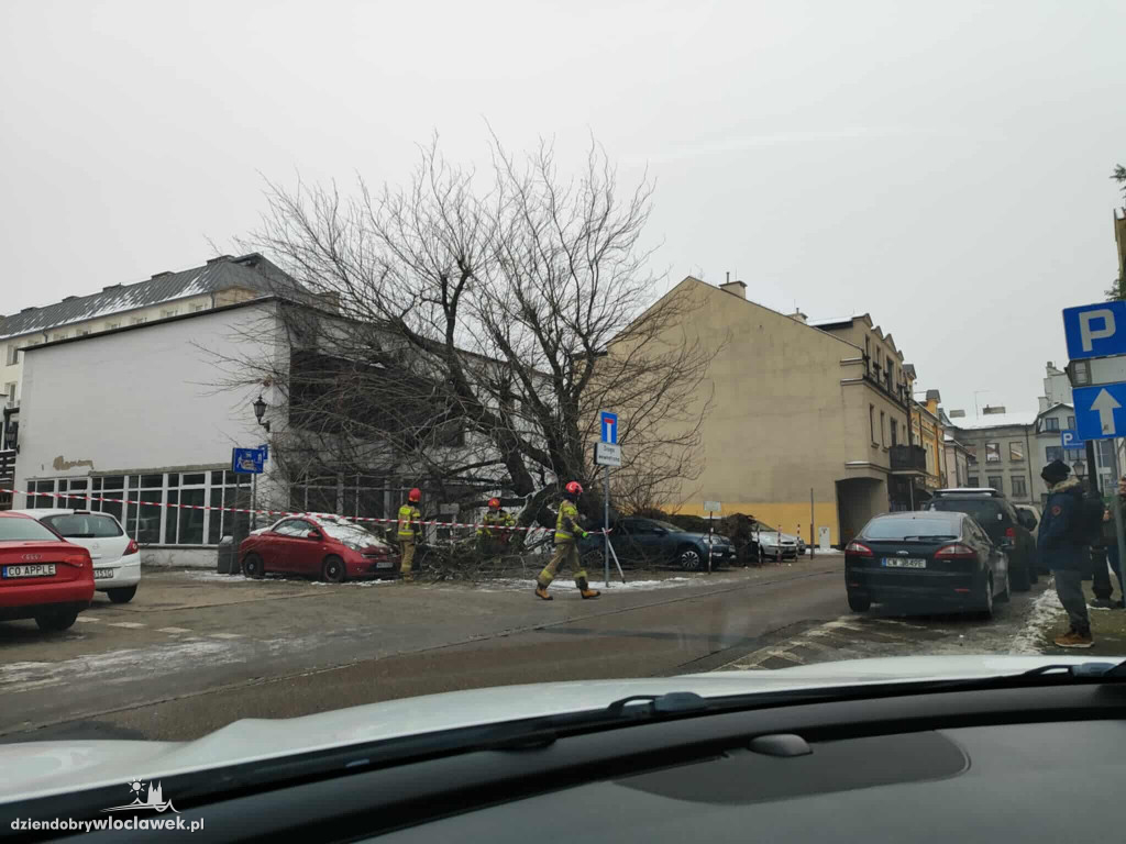Drzewo runęło na samochody i budynek w centrum