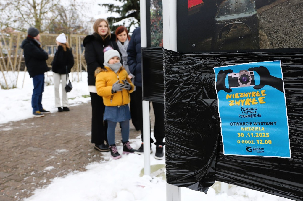 Otwarcie wystawy „Niezwykłe zwykłe” na Placu Wolności