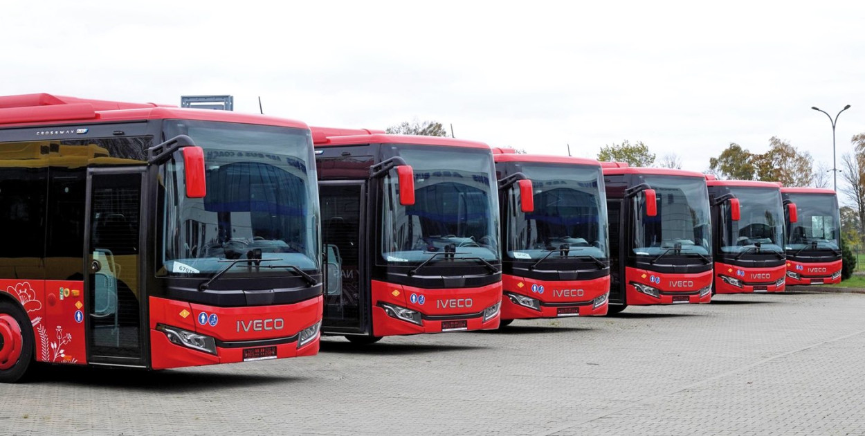 Rozkłady jazdy 24 linii