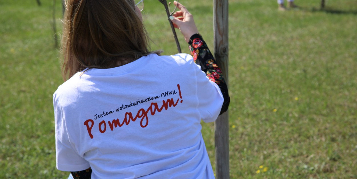 Dzień Wolontariusza w ANWILU