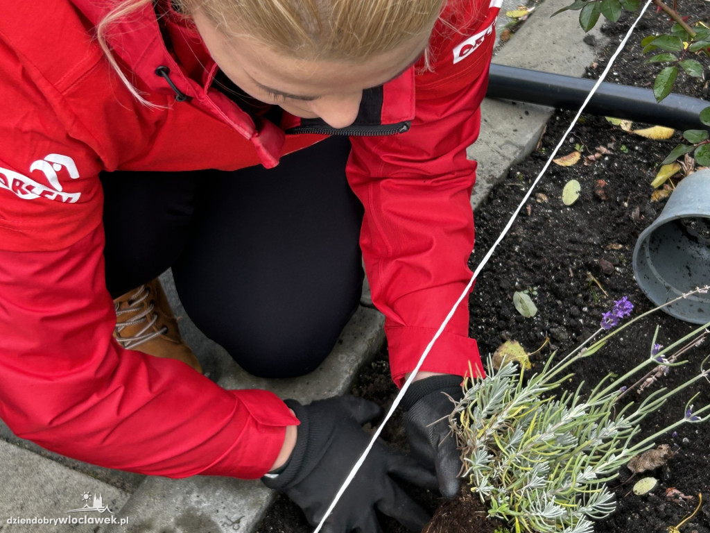 Dzień Wolontariusza w ANWILU