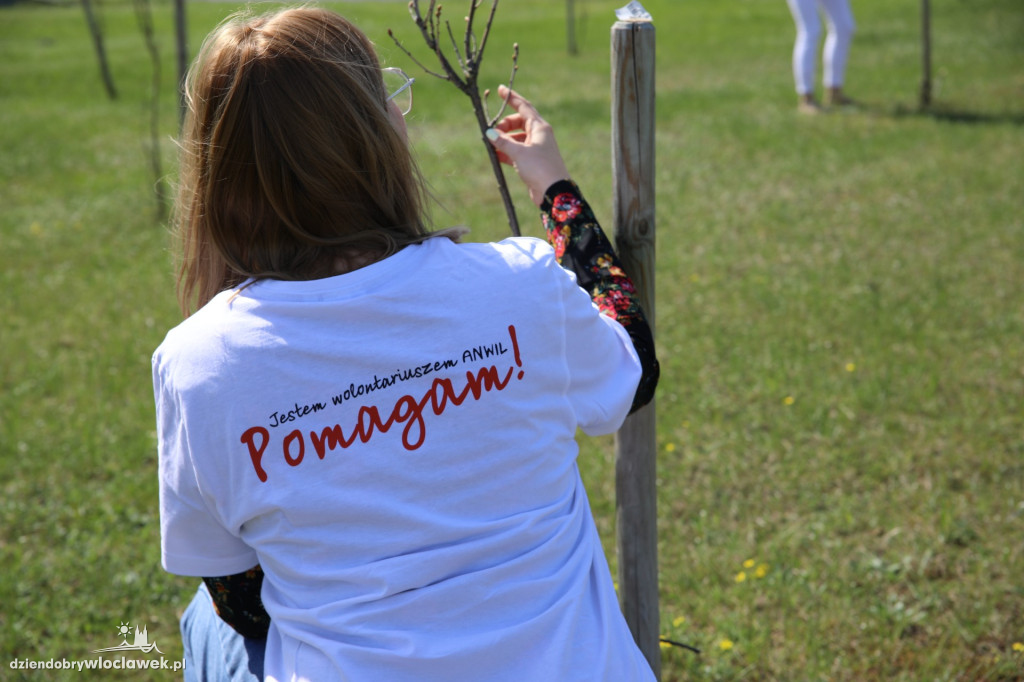 Dzień Wolontariusza w ANWILU