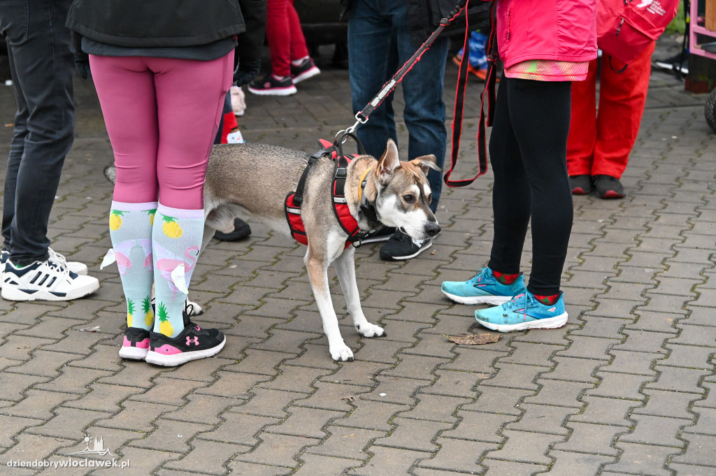Mikołajkowy Parkrun na Słodowie