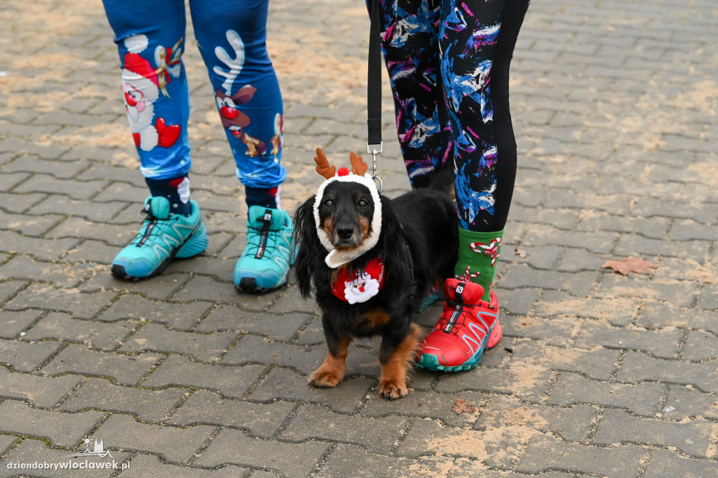 Mikołajkowy Parkrun na Słodowie