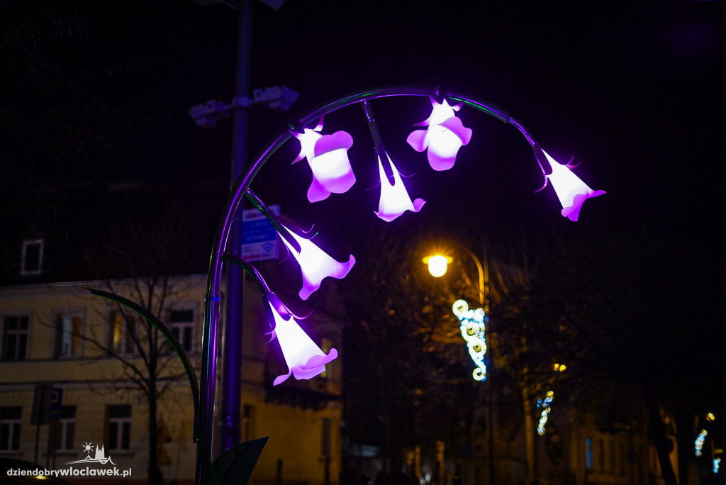 Iluminacje na Bulwarach