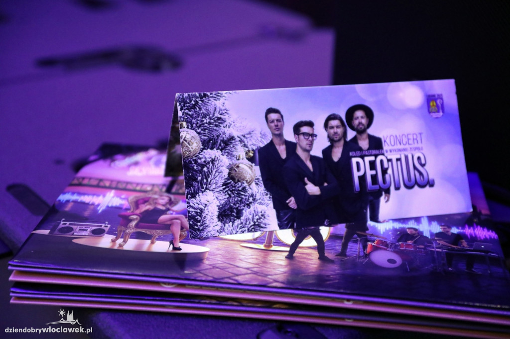 Koncert zespołu Pectus