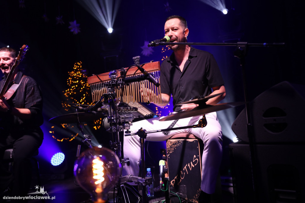 Koncert zespołu Pectus