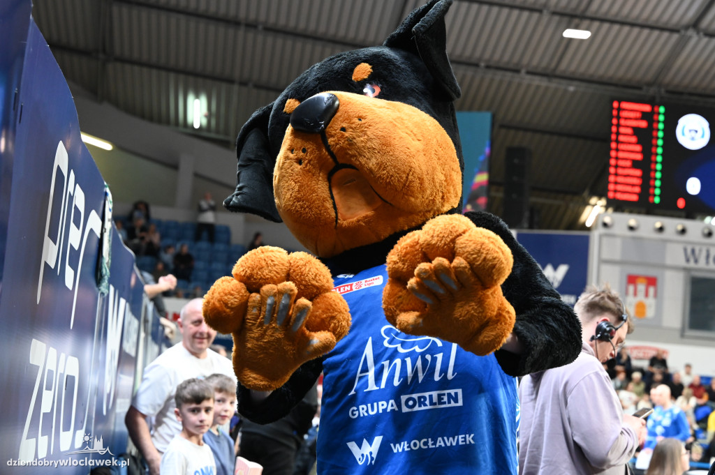Mecz Anwil Włocławek vs. Dziki Warszawa
