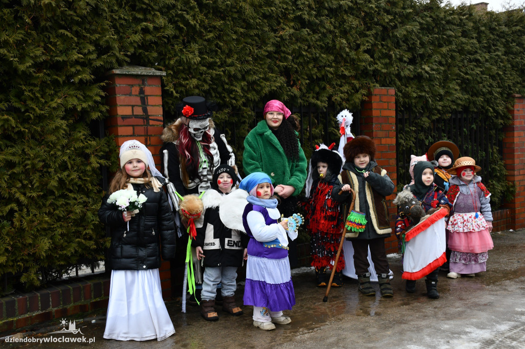 Koza ruszyła po Kujawach! Zaskoczyła urzędników w Lubrańcu