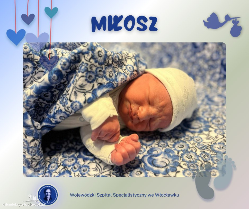 Nowi mieszkańcy Włocławka