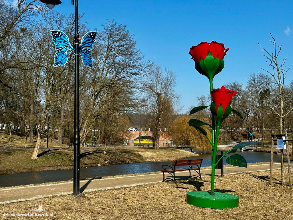 Nowe ozdoby w Parku Sienkiewicza