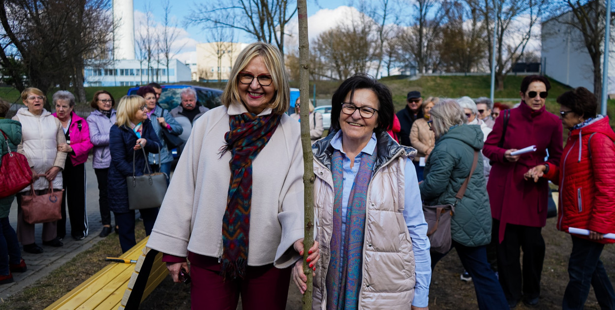 Początek Alei Seniorów w Parku na Słodowie