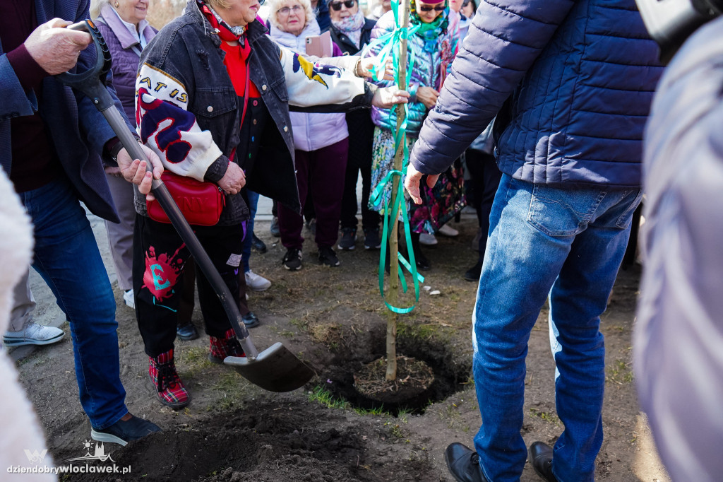 Początek Alei Seniorów w Parku na Słodowie