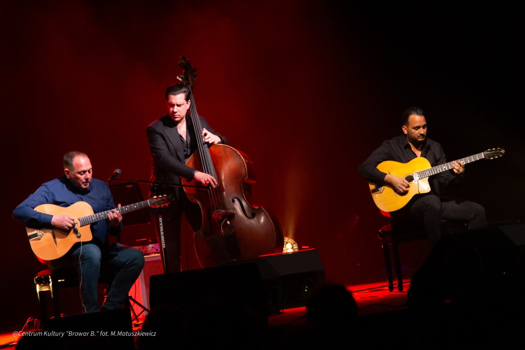 Palma Festiwal 2026