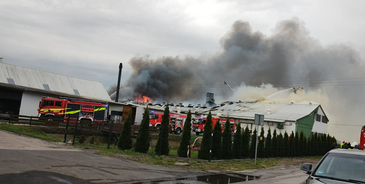 Pożar hali produkcyjnej w Dziardonicach