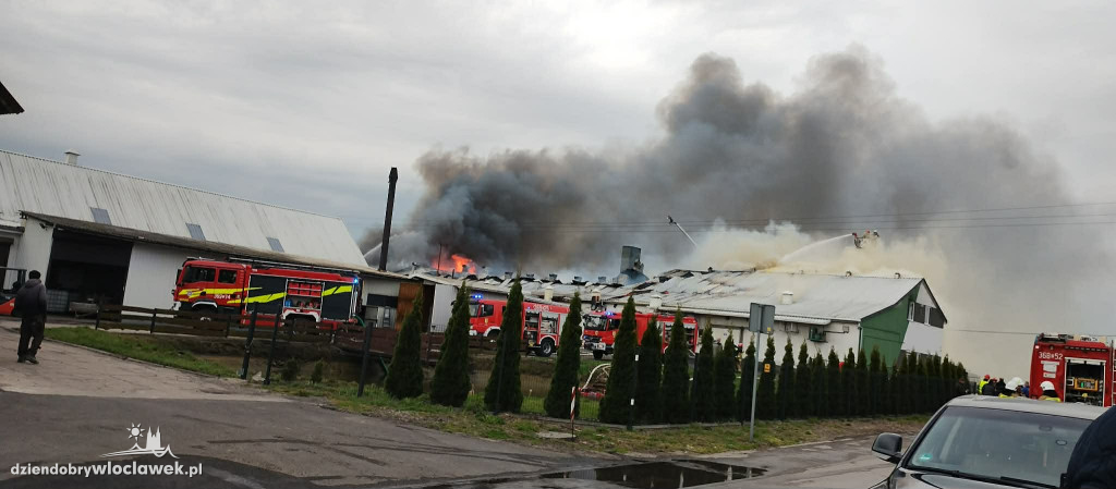 Pożar hali produkcyjnej w Dziardonicach