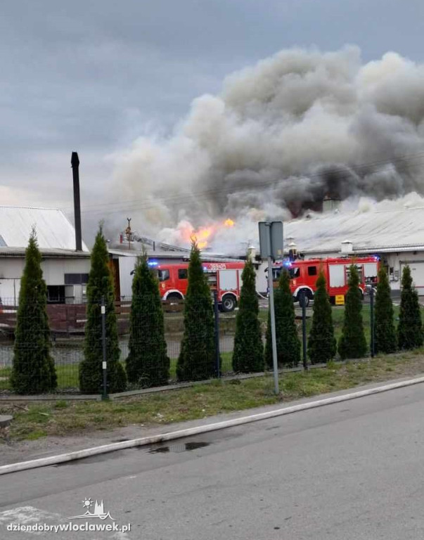 Pożar hali produkcyjnej w Dziardonicach