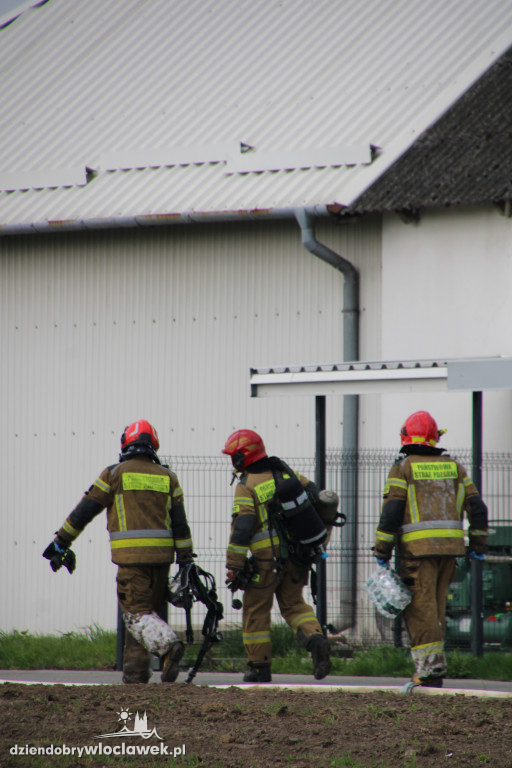Pożar hali produkcyjnej w Dziardonicach