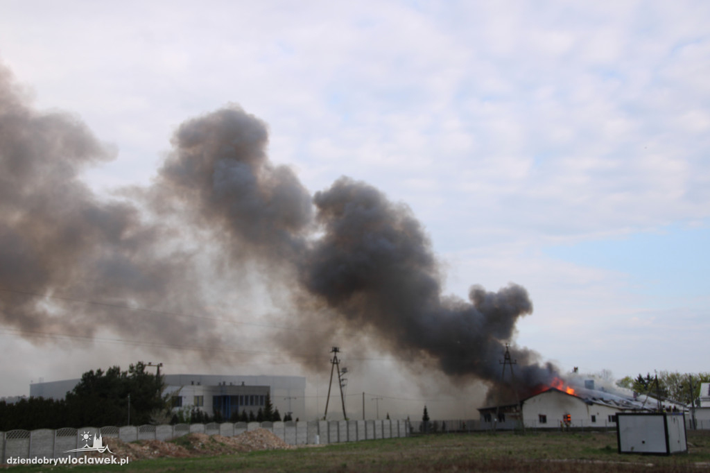 Pożar hali produkcyjnej w Dziardonicach