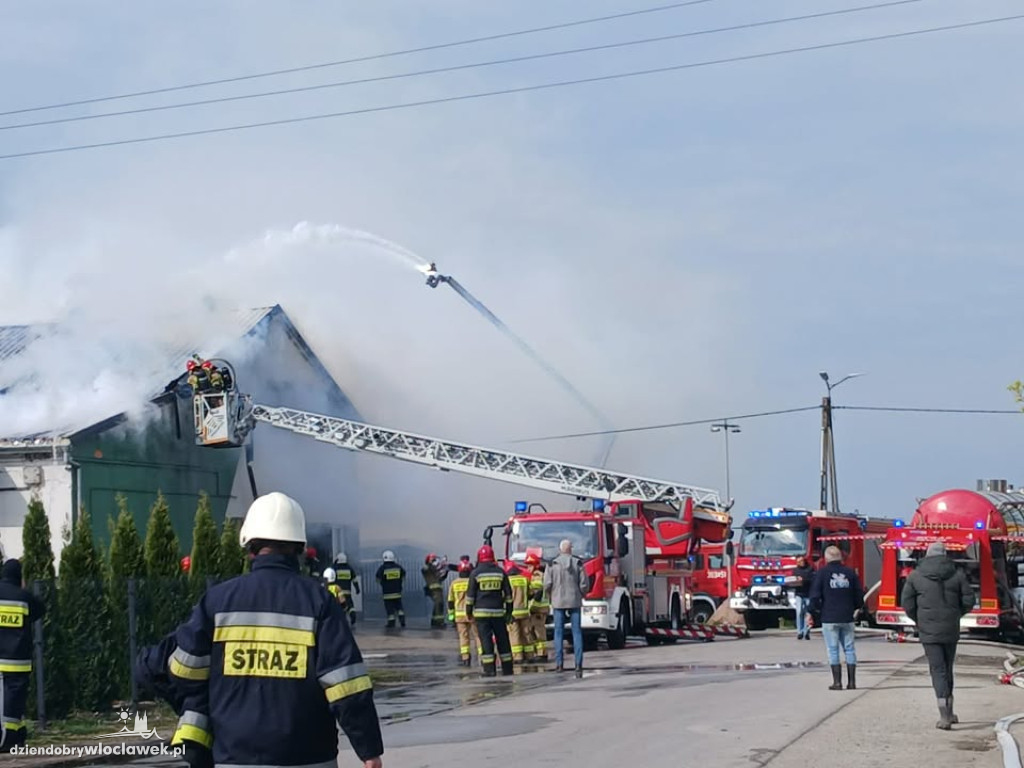 Pożar hali produkcyjnej w Dziardonicach