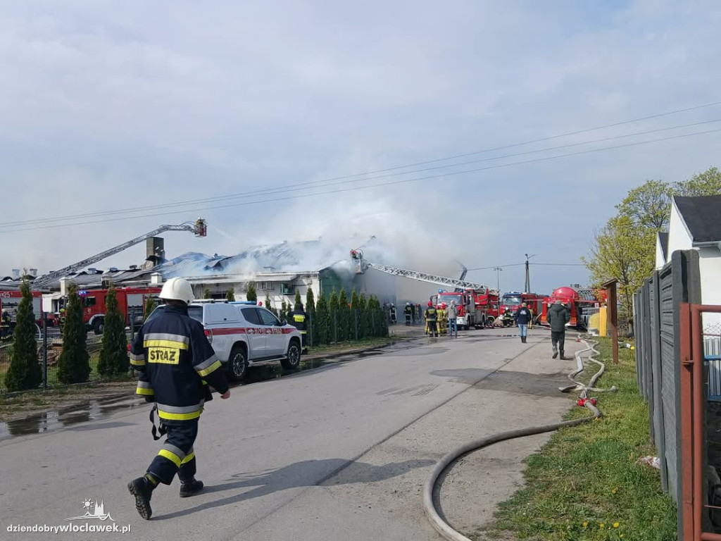 Pożar hali produkcyjnej w Dziardonicach