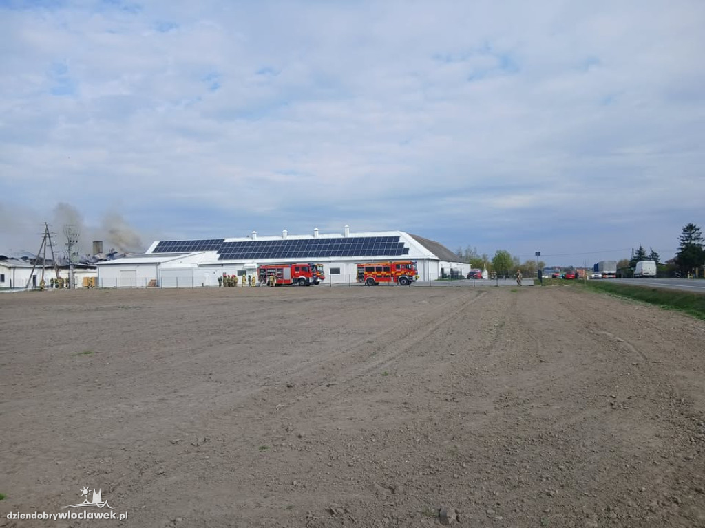 Pożar hali produkcyjnej w Dziardonicach