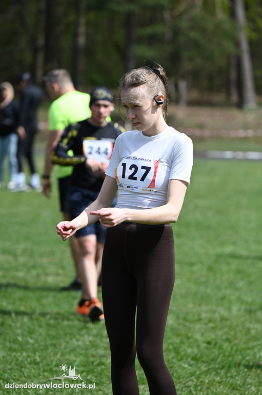 43. Bieg Kujawiaka we Włocławku: dorośli