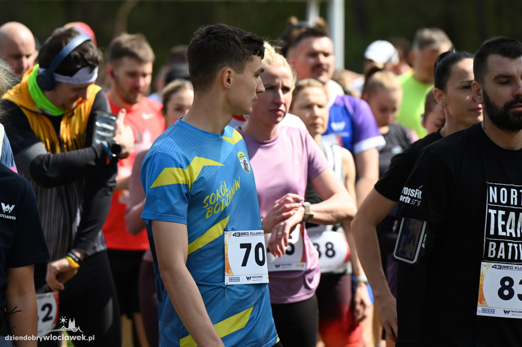 43. Bieg Kujawiaka we Włocławku: dorośli