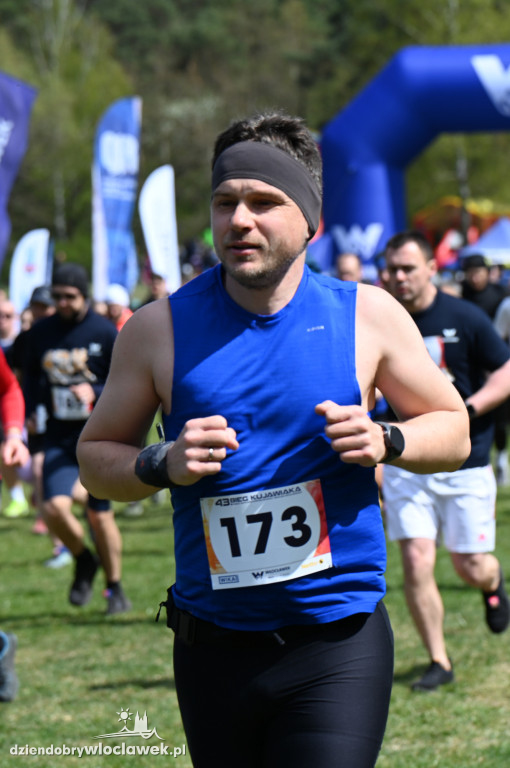 43. Bieg Kujawiaka we Włocławku: dorośli